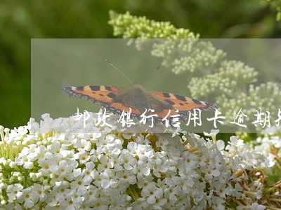 邮政银行信用卡逾期短信