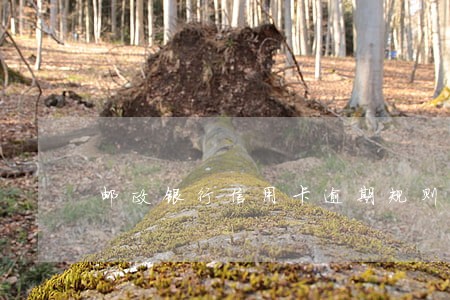 邮政银行信用卡逾期规则 邮政银行信用卡逾期规则