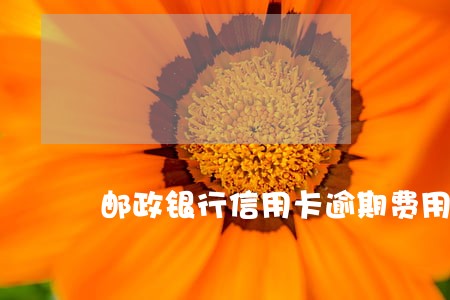邮政银行信用卡逾期费用