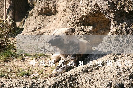 邮政银行信用卡逾期还款 邮政银行信用卡逾期还款