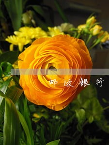邮政银行信用卡逾期高额费用 邮政银行信用卡逾期高额费用