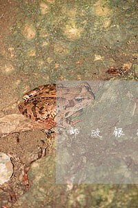 邮政银行卡逾期停了还能开吗 邮政银行卡逾期停了还能开吗