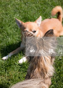 邮政银行房贷逾期3天 邮政银行房贷逾期3天