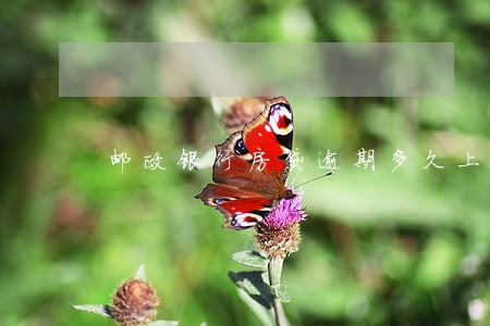 邮政银行房贷逾期多久上征信 邮政银行房贷逾期多久上征信