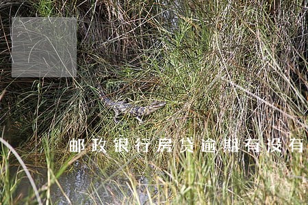 邮政银行房贷逾期有没有事 邮政银行房贷逾期有没有事