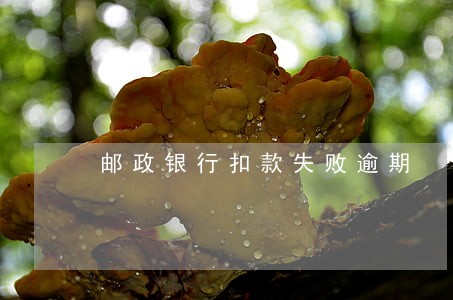 邮政银行扣款失败逾期 邮政银行扣款失败逾期