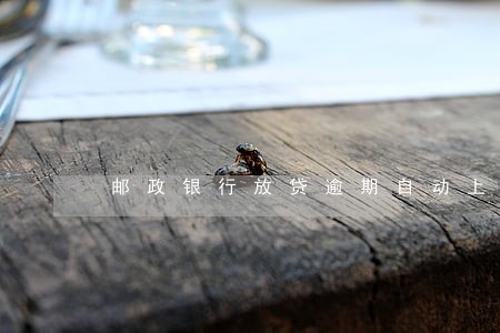 邮政银行放贷逾期自动上传征信 邮政银行放贷逾期自动上传征信