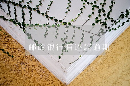 邮政银行有还款逾期 邮政银行有还款逾期