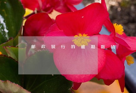 邮政银行的逾期撤销 邮政银行的逾期撤销