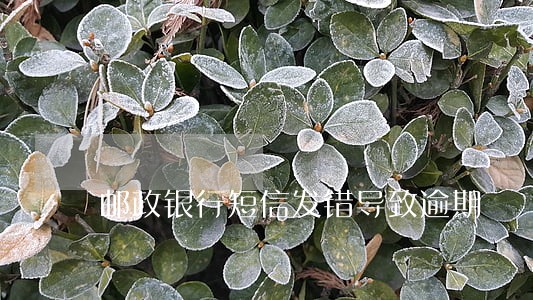 邮政银行短信发错导致逾期