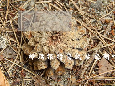 邮政银行贷款要逾期咋办 邮政银行贷款要逾期咋办