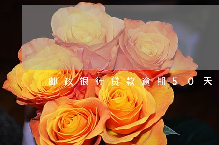 邮政银行贷款逾期50天 邮政银行贷款逾期50天
