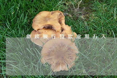 邮政银行贷款逾期五天 邮政银行贷款逾期五天