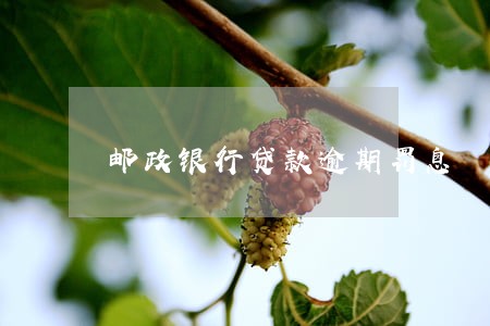 邮政银行贷款逾期罚息