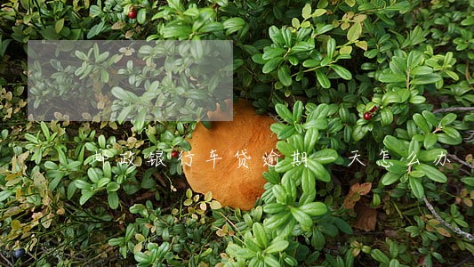邮政银行车贷逾期一天怎么办 邮政银行车贷逾期一天怎么办