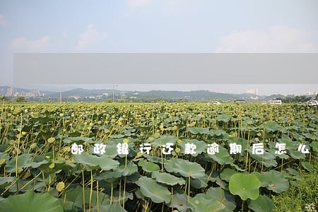 邮政银行还款逾期后怎么扣款 邮政银行还款逾期后怎么扣款