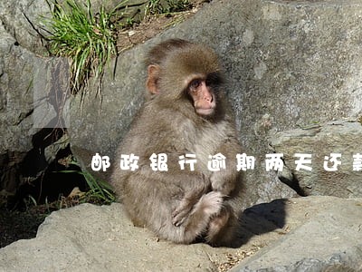 邮政银行逾期两天还款 邮政银行逾期两天还款