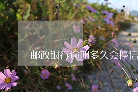 邮政银行逾期多久会停信用卡 邮政银行逾期多久会停信用卡