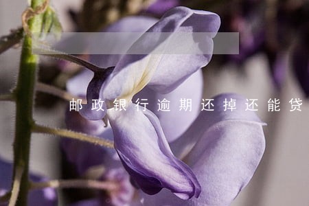 邮政银行逾期还掉还能贷出来吗 邮政银行逾期还掉还能贷出来吗