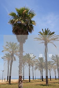 邮政银行银行非故意逾期证明 邮政银行银行非故意逾期证明