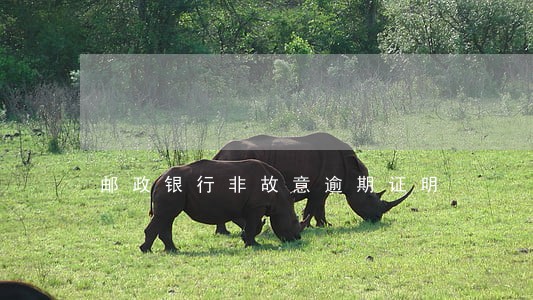 邮政银行非故意逾期证明 邮政银行非故意逾期证明