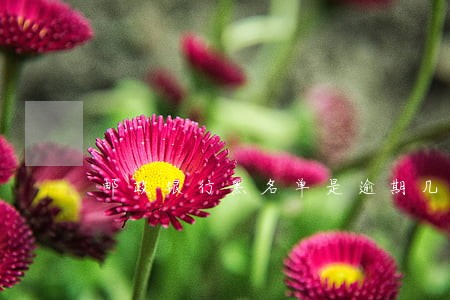 邮政银行黑名单是逾期几次 邮政银行黑名单是逾期几次