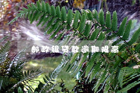 邮政银贷款逾期限高 邮政银贷款逾期限高