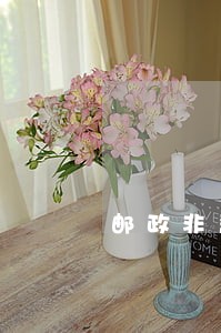 邮政非恶意逾期证明模版 邮政非恶意逾期证明模版