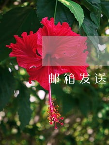 邮箱发送信用卡逾期开庭通知