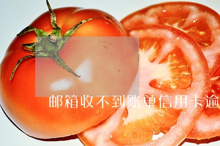 邮箱收不到账单信用卡逾期 邮箱收不到账单信用卡逾期