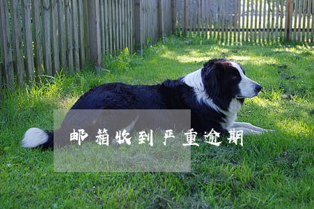 邮箱收到严重逾期 邮箱收到严重逾期