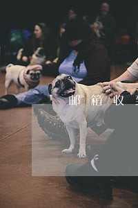 邮箱收到严重逾期邮件 邮箱收到严重逾期邮件
