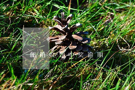 邮箱收到中奖逾期 邮箱收到中奖逾期