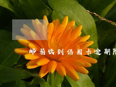 邮箱收到信用卡逾期限行令