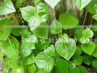 邮箱收到协商逾期邮件 邮箱收到协商逾期邮件