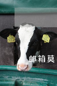 邮箱莫名其妙收到逾期告知 邮箱莫名其妙收到逾期告知