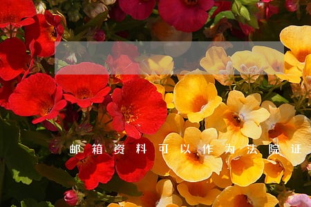 邮箱资料可以作为法院证据嘛 邮箱资料可以作为法院证据嘛