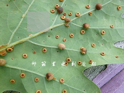 邮箱里收到逾期 邮箱里收到逾期