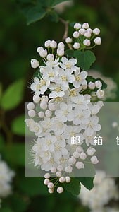 邮箱错误导致逾期