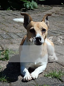 邯山区司法局在哪里 邯山区司法局在哪里