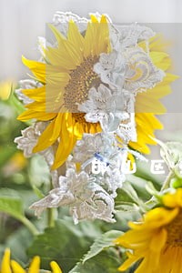 邯山区法律顾问在线律师咨询 邯山区法律顾问在线律师咨询