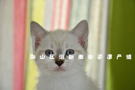 邯山区浴新南街道遗产继承律师 邯山区浴新南街道遗产继承律师