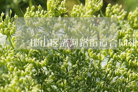 邯山区渚河路街道合同律师 邯山区渚河路街道合同律师