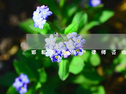 邯郸专业房产律师咨询 邯郸专业房产律师咨询