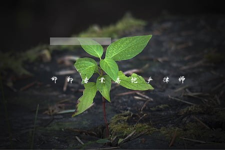 邯郸专业房地产律师 邯郸专业房地产律师