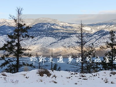 邯郸交通事故司法鉴定中心 邯郸交通事故司法鉴定中心