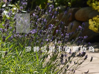 邯郸信用卡逾期协商 邯郸信用卡逾期协商