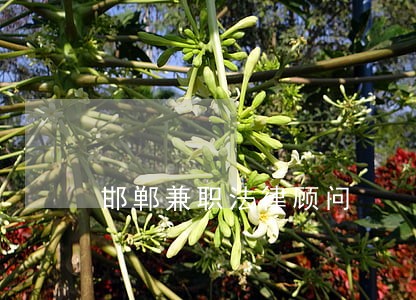 邯郸兼职法律顾问 邯郸兼职法律顾问