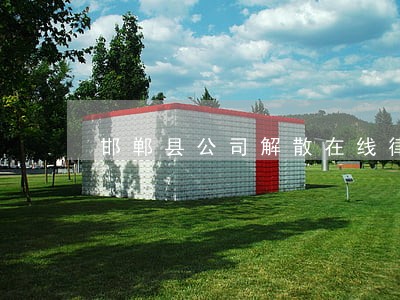 邯郸县公司解散在线律师 邯郸县公司解散在线律师