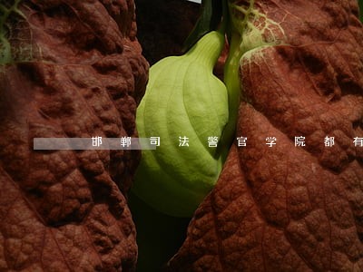 邯郸司法警官学院都有哪些学科